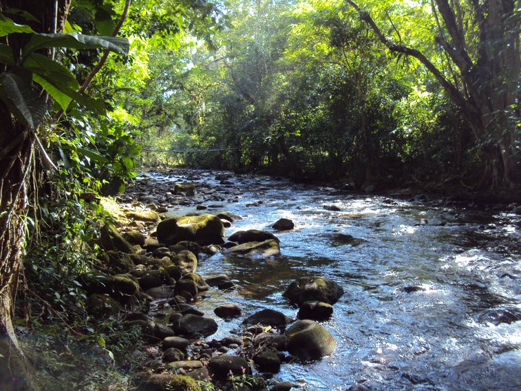 reglamento del agua