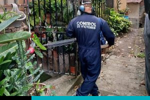 Movilización por brote de dengue en Pavas busca eliminar criaderos