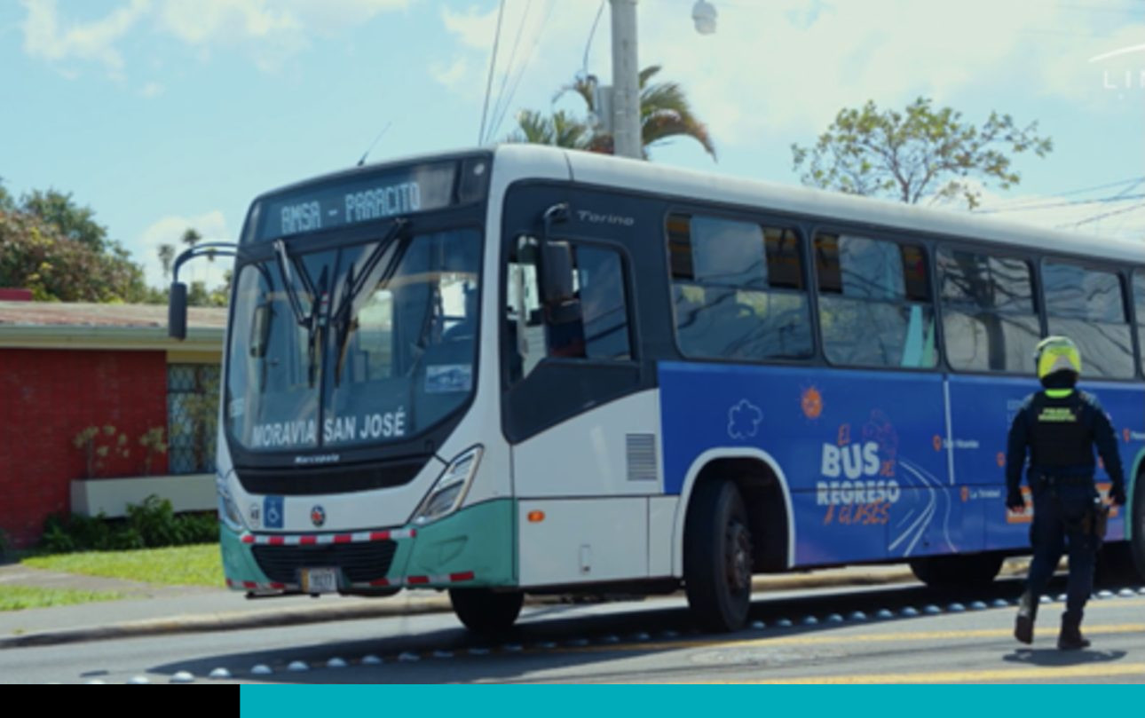 bus