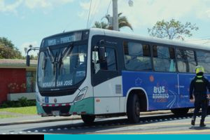 bus