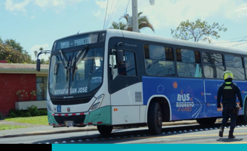 bus