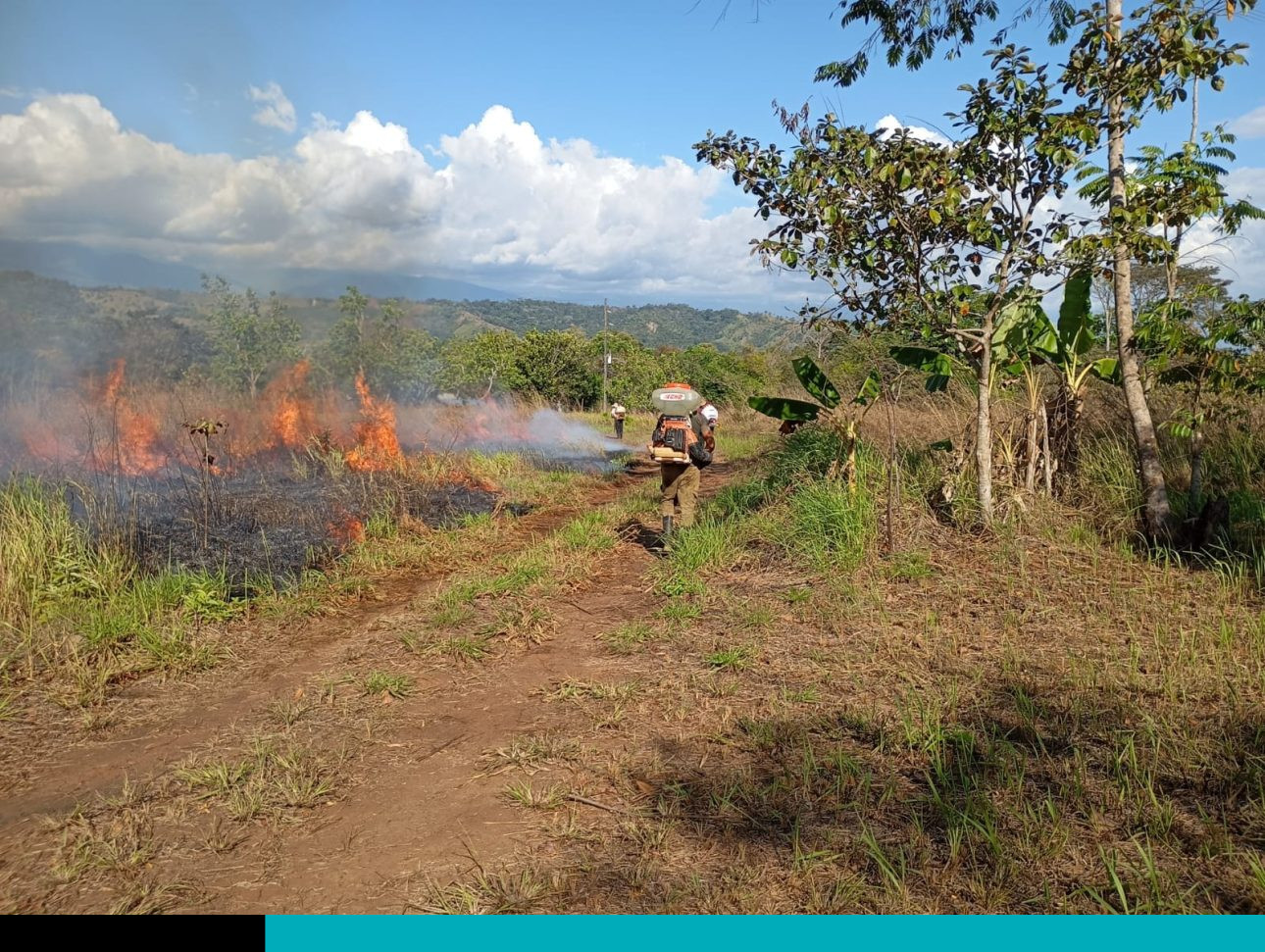 incendio provocado