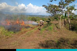 incendio provocado