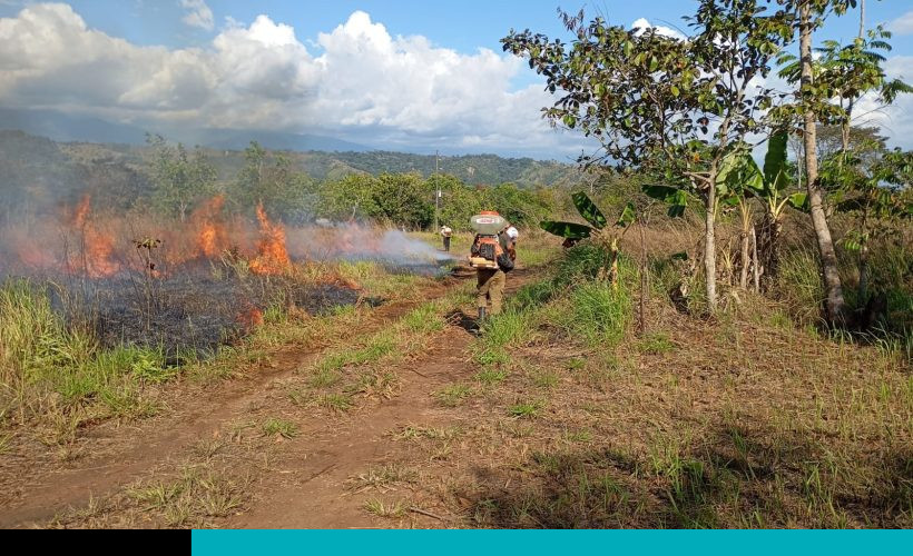 incendio provocado