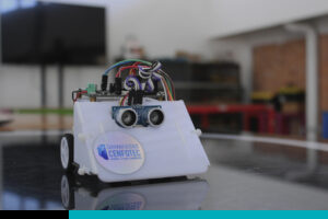 SUMOBOT