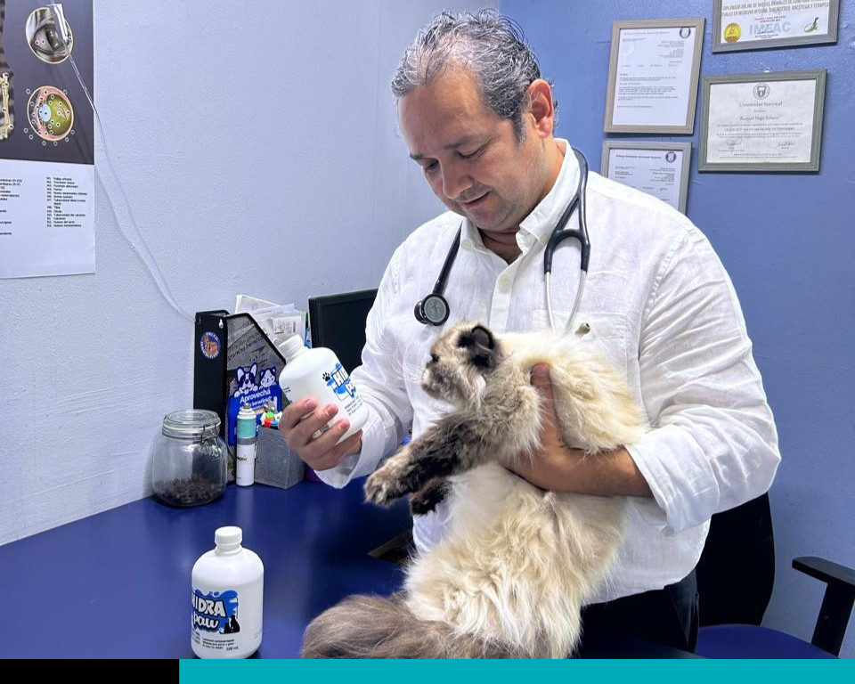 Veterinario alerta sobre deshidratación en perros y gatos