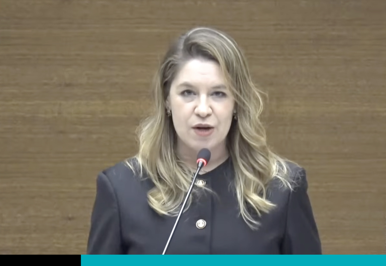 diputada Claudia Dobles