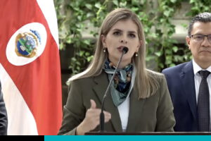 laura fernández proyecto de reforma eléctrica