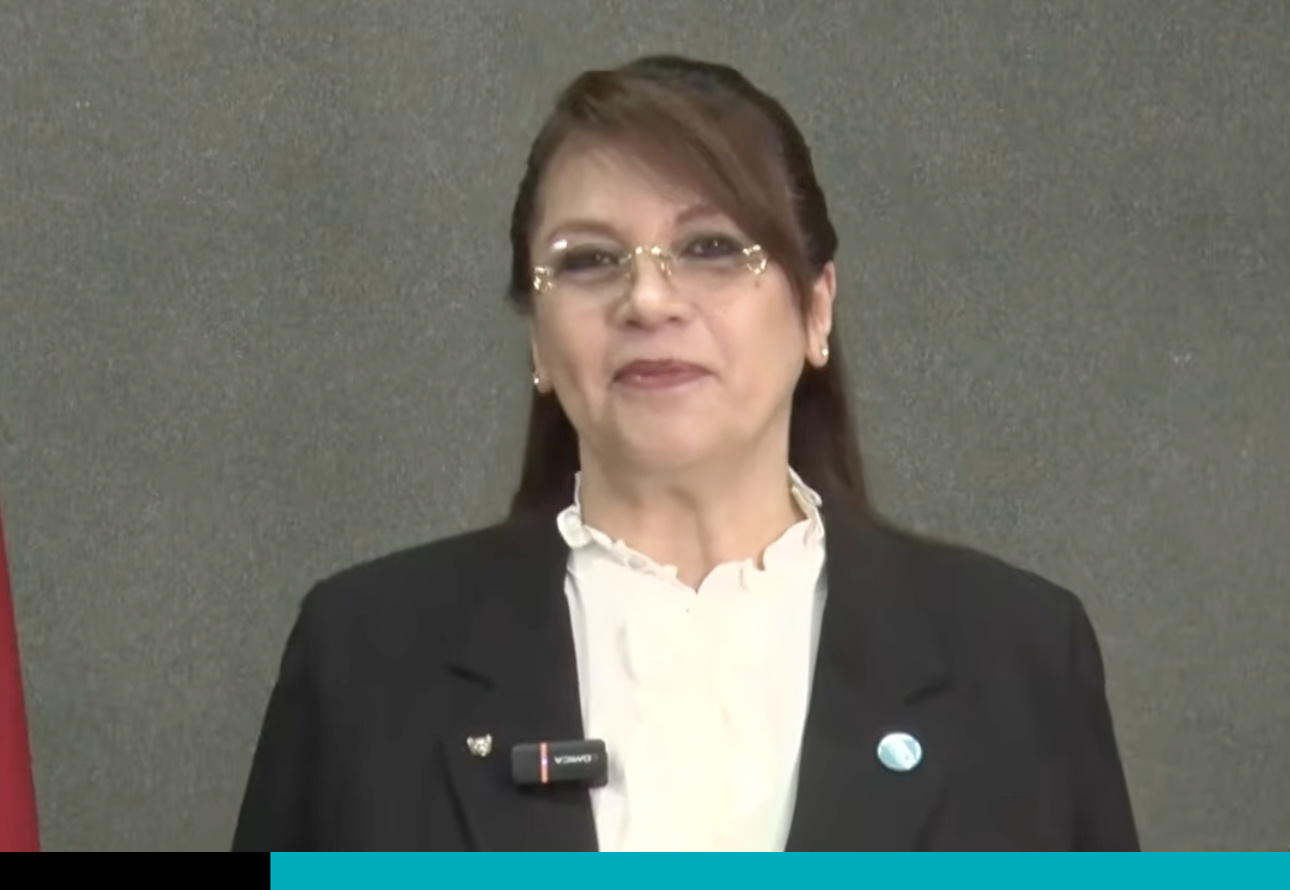 Diputada Mayuli Ortega