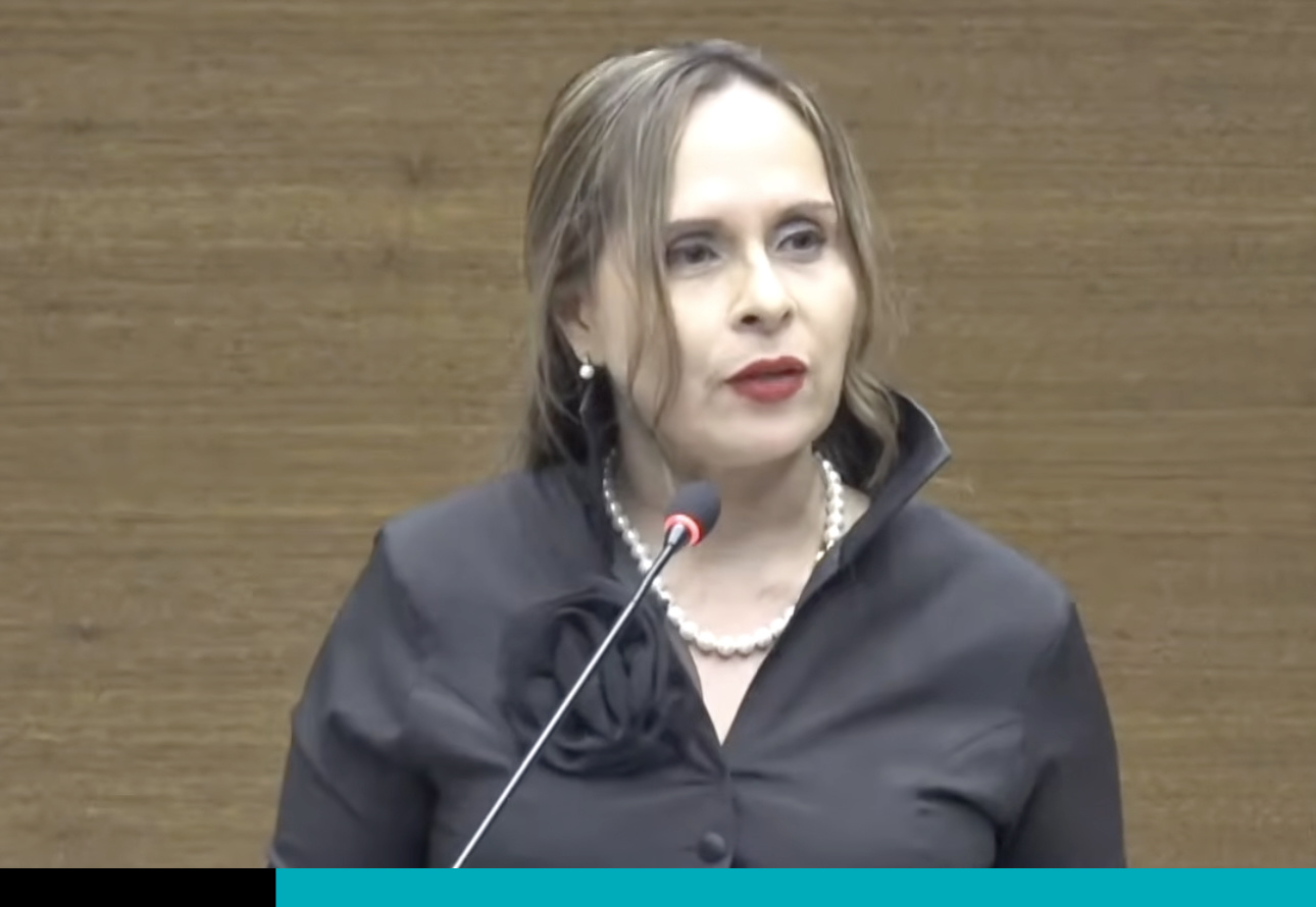 Yara Jiménez, Diputada