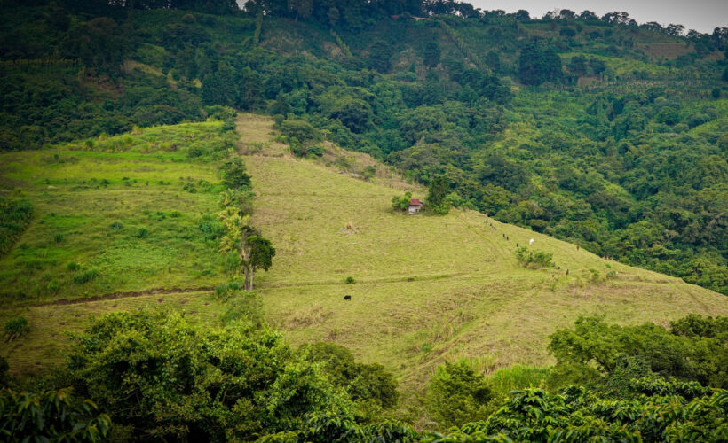 La Barranquilla