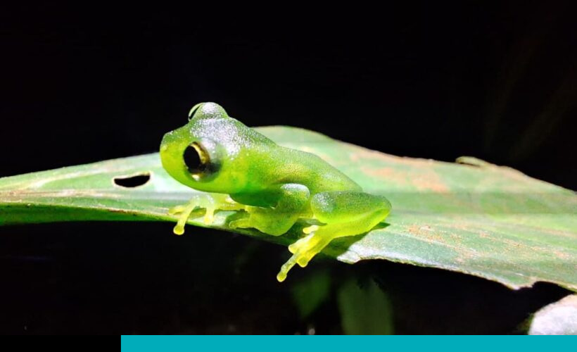 biodiversidad