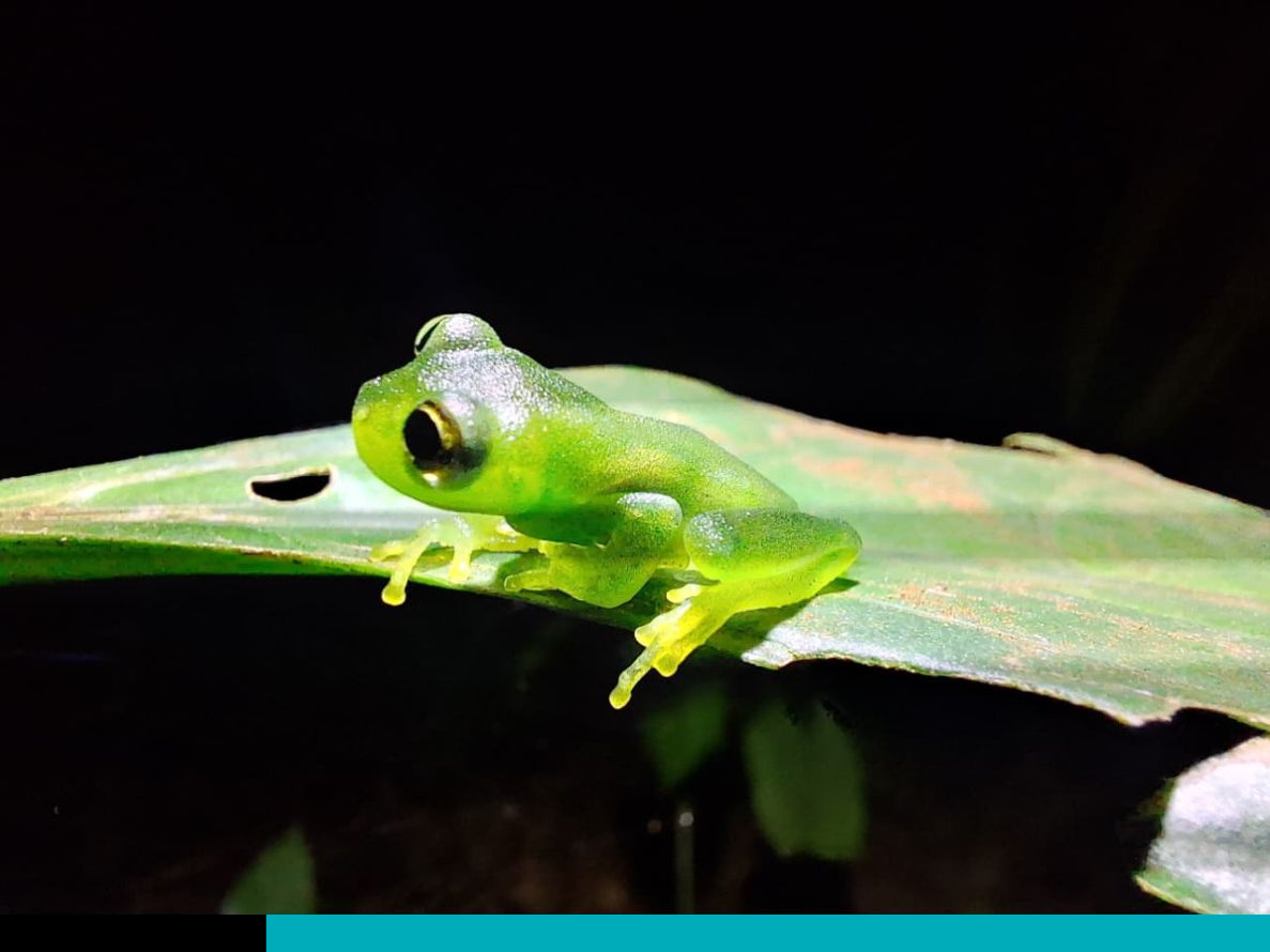 biodiversidad