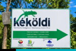 kekoldi