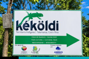 kekoldi