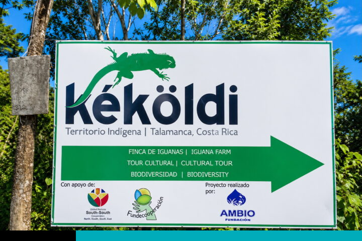 kekoldi