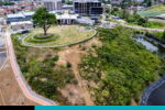 bosque de bolsillo