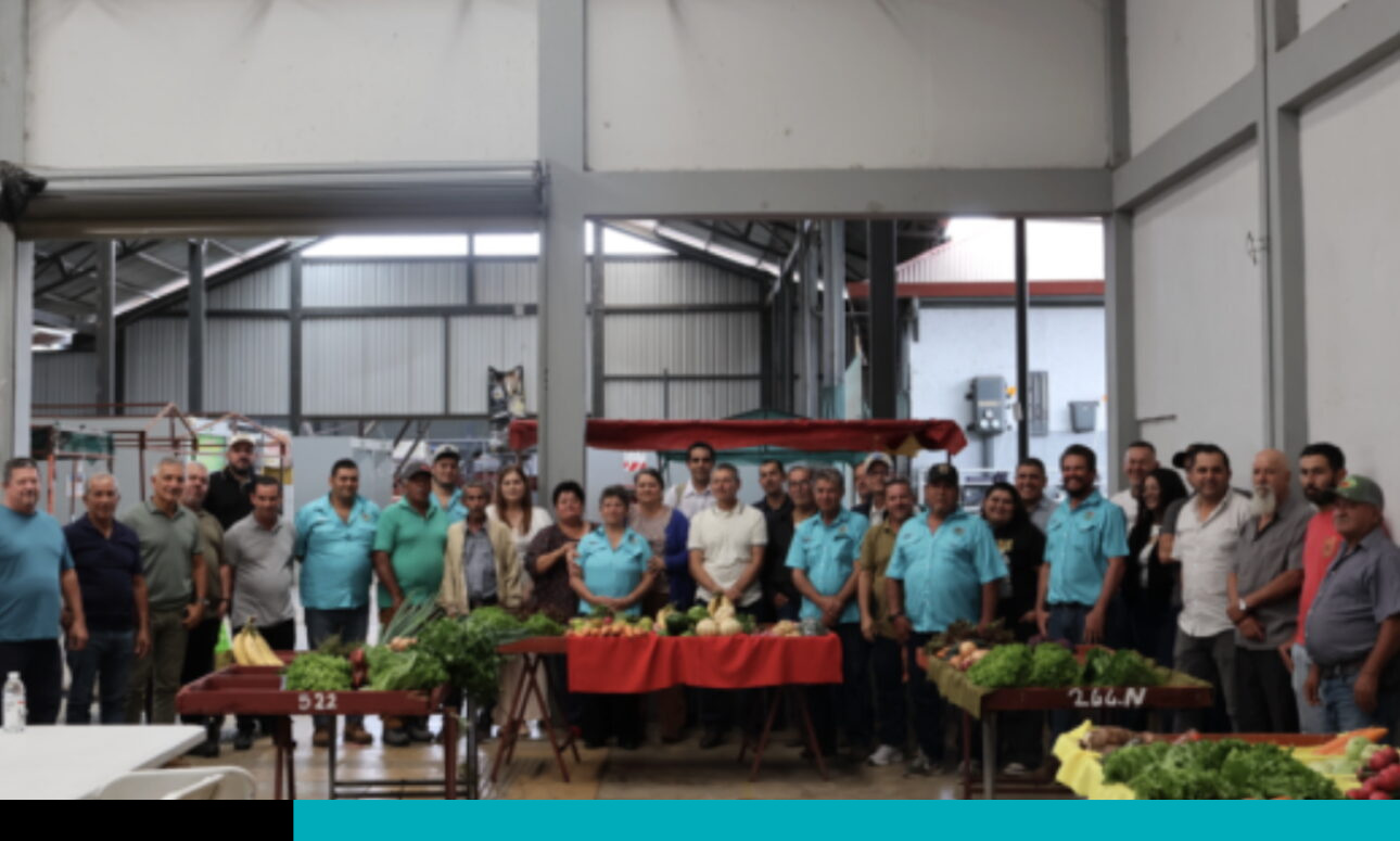ferias del agricultor