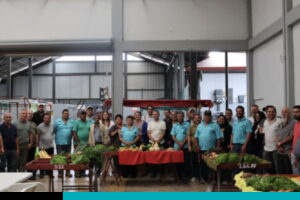 ferias del agricultor