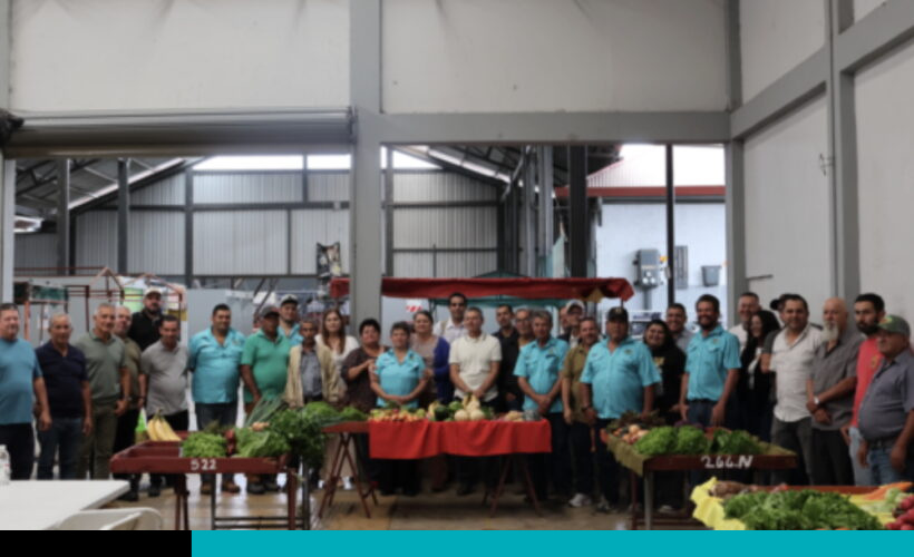 ferias del agricultor
