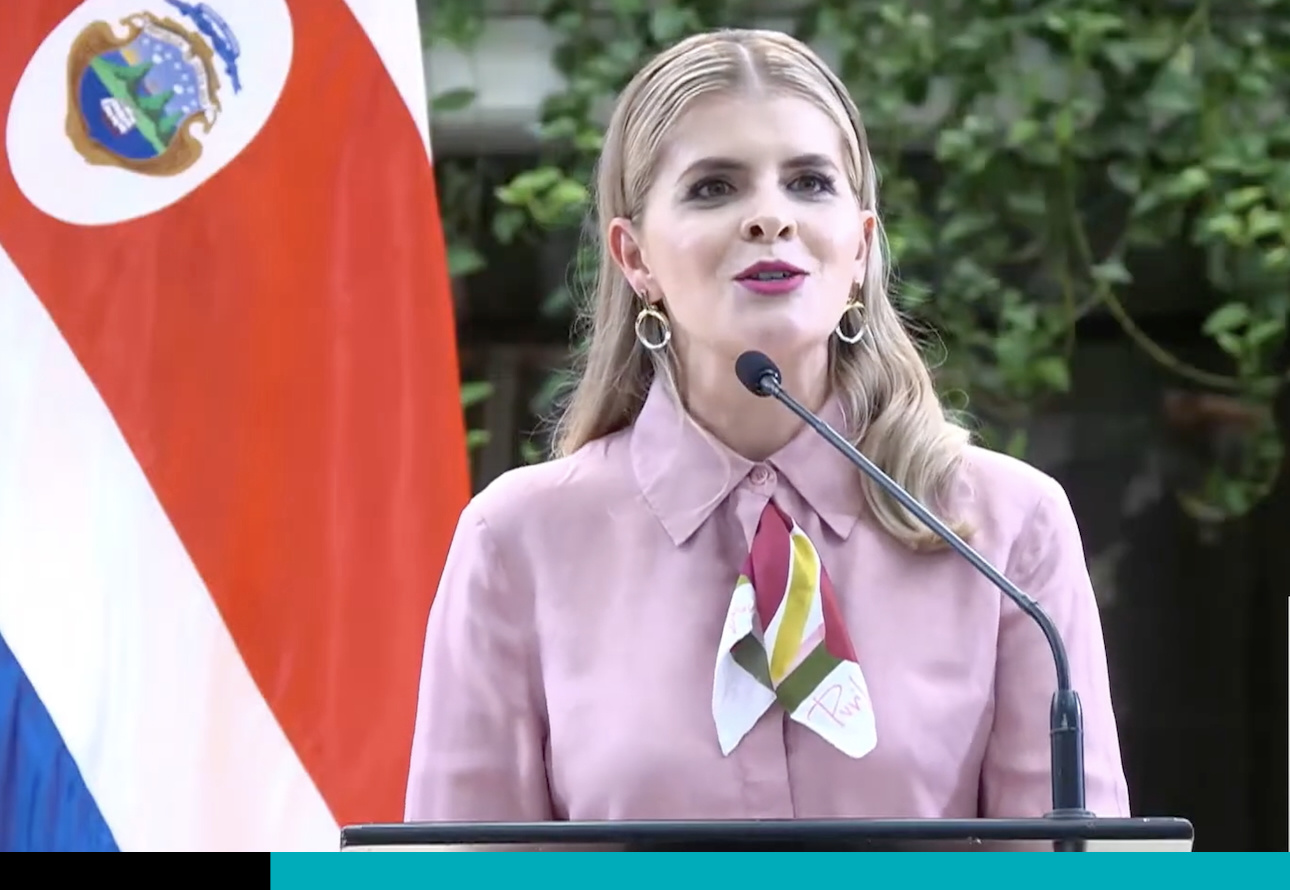 laura fernández ley de armonización eléctrica