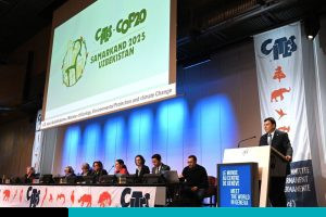 COP20