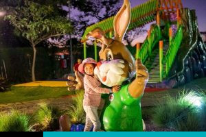 parque diversiones