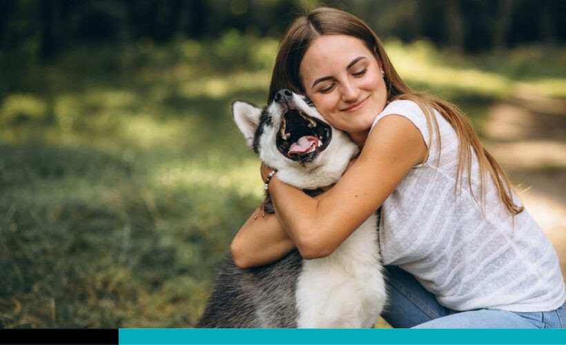 hidratación perros y gatos