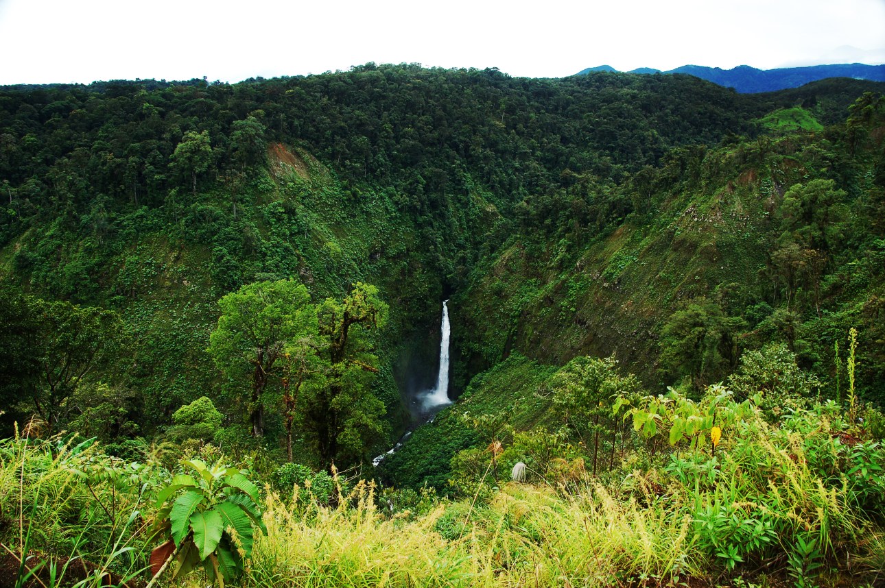 recursos naturales