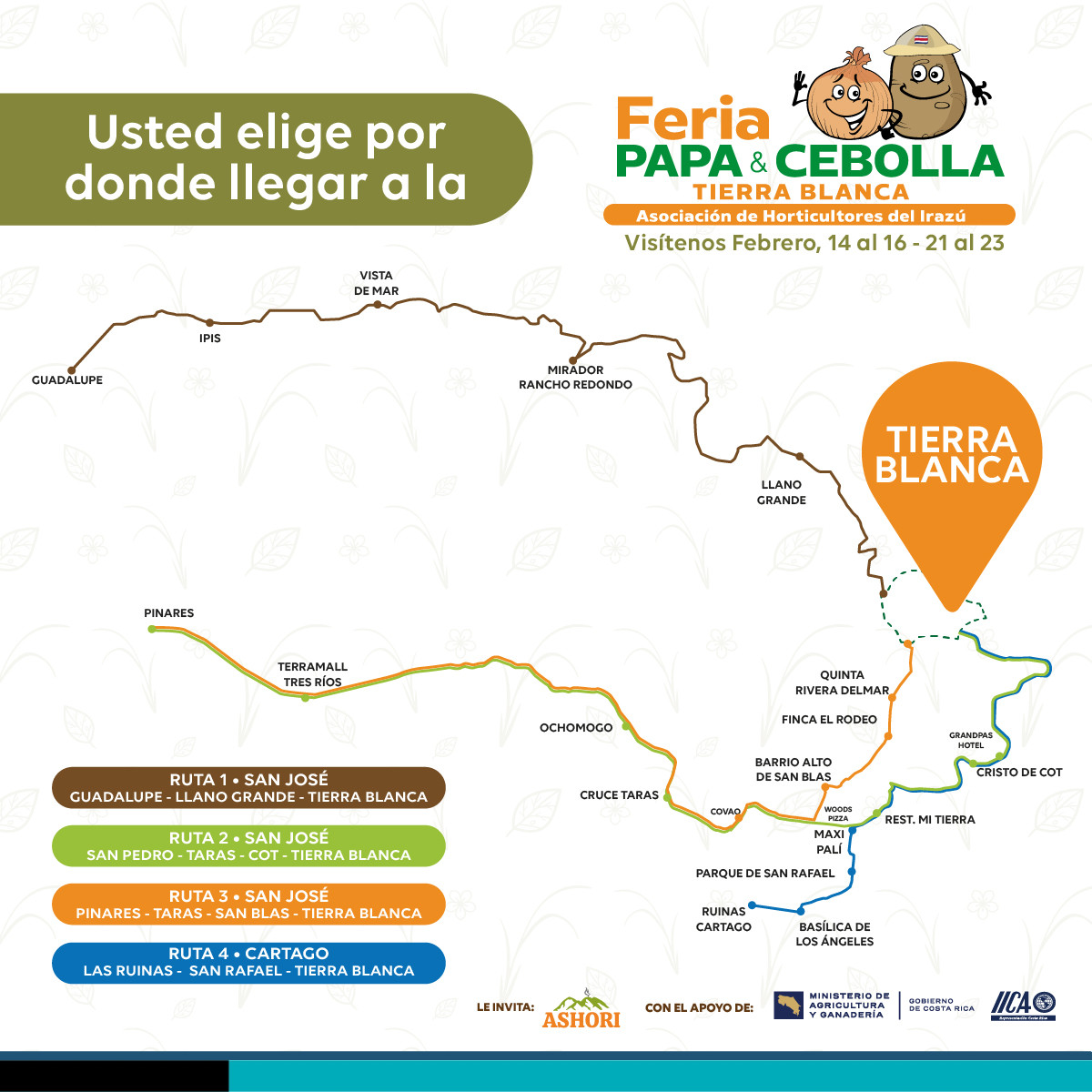 Rutas