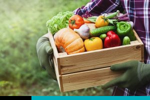 guías alimentarias