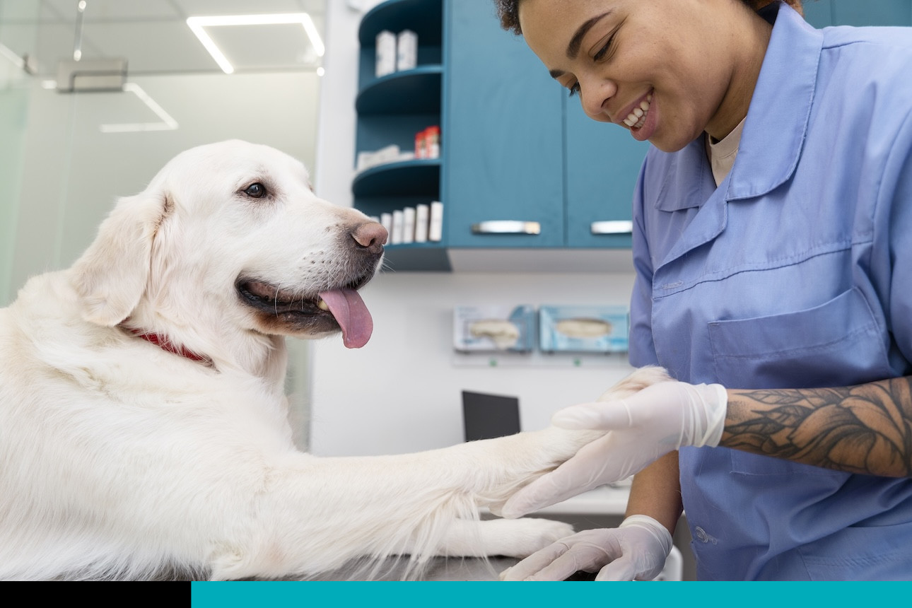 clínicas veterinarias