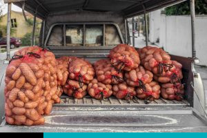 desperdicio de alimentos