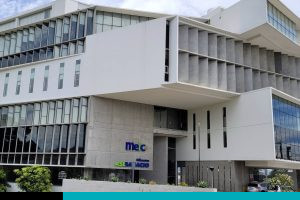 meic