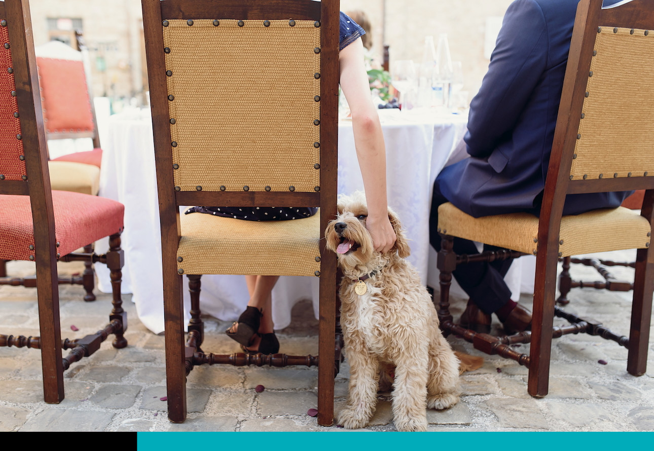 pet friendly
